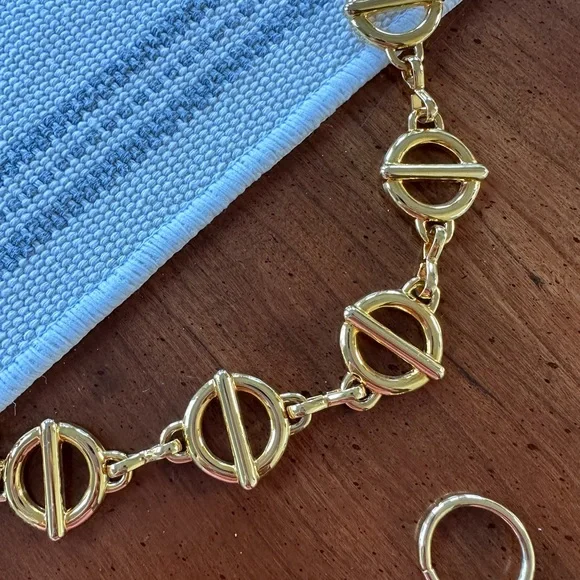 Chain Belt - Picture 4 of 6